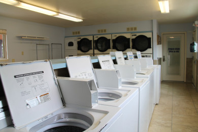 Ponderosa Pines laundry room